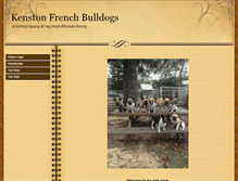 Tablet Screenshot of kenstonfrenchies.com